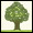 BUY ORGANIC...FOR HEALTHIER LIVING...CLICK NOW....